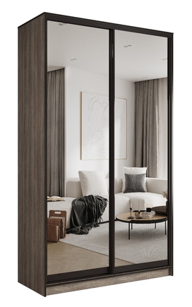 ШКАФ-КУПЕ «ПРЕСТИЖ» 163 TTG.05