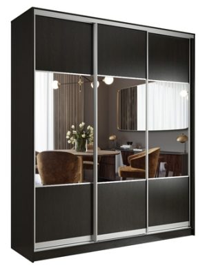 ШКАФ-КУПЕ 203 VS.01