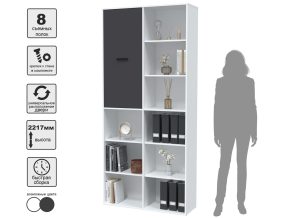 ШКАФ SKILL-20-1 (БЕЛЫЙ/ АНТРАЦИТ ФАСАД) Ш1000 В2217 Г355