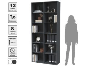 ШКАФ SKILL-20 (АНТРАЦИТ) Ш1000 В2217 Г355