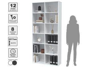 ШКАФ SKILL-20 (БЕЛЫЙ) Ш1000 В2217 Г355