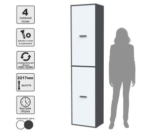 ШКАФ SKILL-21-2 (АНТРАЦИТ/ БЕЛЫЙ ФАСАД) Ш509 В2217 Г355