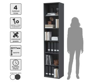 ШКАФ SKILL-21 (АНТРАЦИТ) Ш509 В2217 Г355