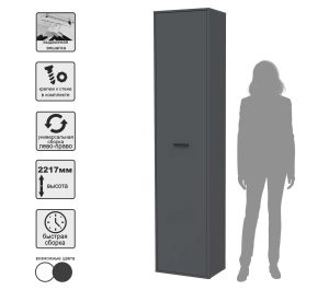 ШКАФ SKILL-23-1 (АНТРАЦИТ) Ш509 В2217 Г355